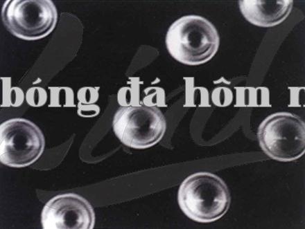 Vật liệu màng
