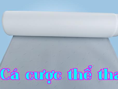 Vật liệu màng.jpg