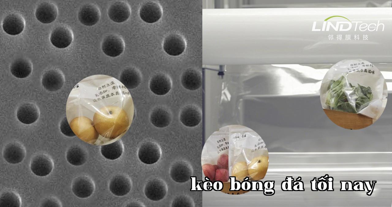 Khám phá ứng dụng của màng lỗ nhân trong việc bảo quản vật lý ở nhiệt độ thường và tự động điều chỉnh khí bảo quản