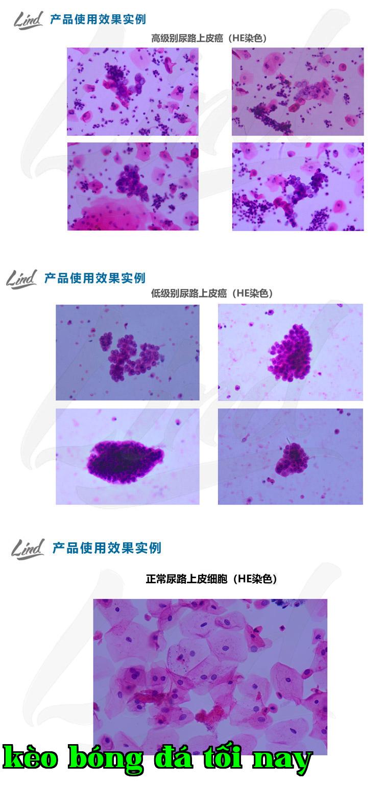 Chưa đặt tên-2.jpg