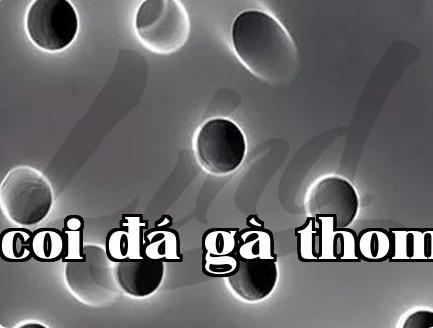Màng dấu vết hạt nhân: Sự kết hợp giữa cấu trúc lỗ vi mô độc đáo và chức năng chống giả