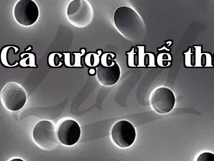 Tem chống giả và truy xuất nguồn gốc cho rượu có tác dụng gì?