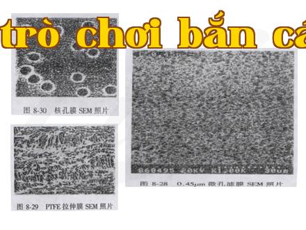 Giới thiệu về màng lõi hạt nhân