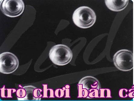 Cấu trúc và chức năng của màng nhân quả là gì?