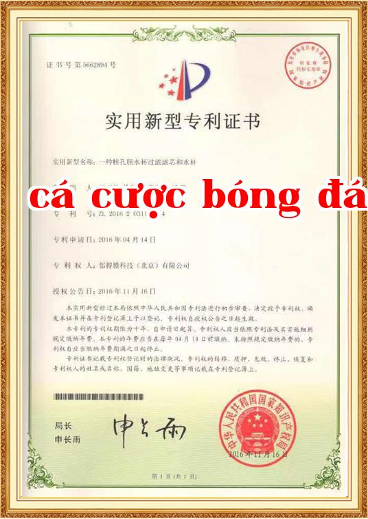 Chứng chỉ danh dự