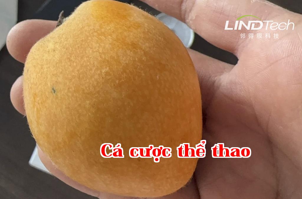 Màng nhân quả - Giải pháp bảo quản vật lý thường nhiệt tự động điều chỉnh khí