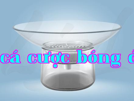 Tại sao nước từ máy lọc nước có bọt hoặc chuyển sang màu trắng?