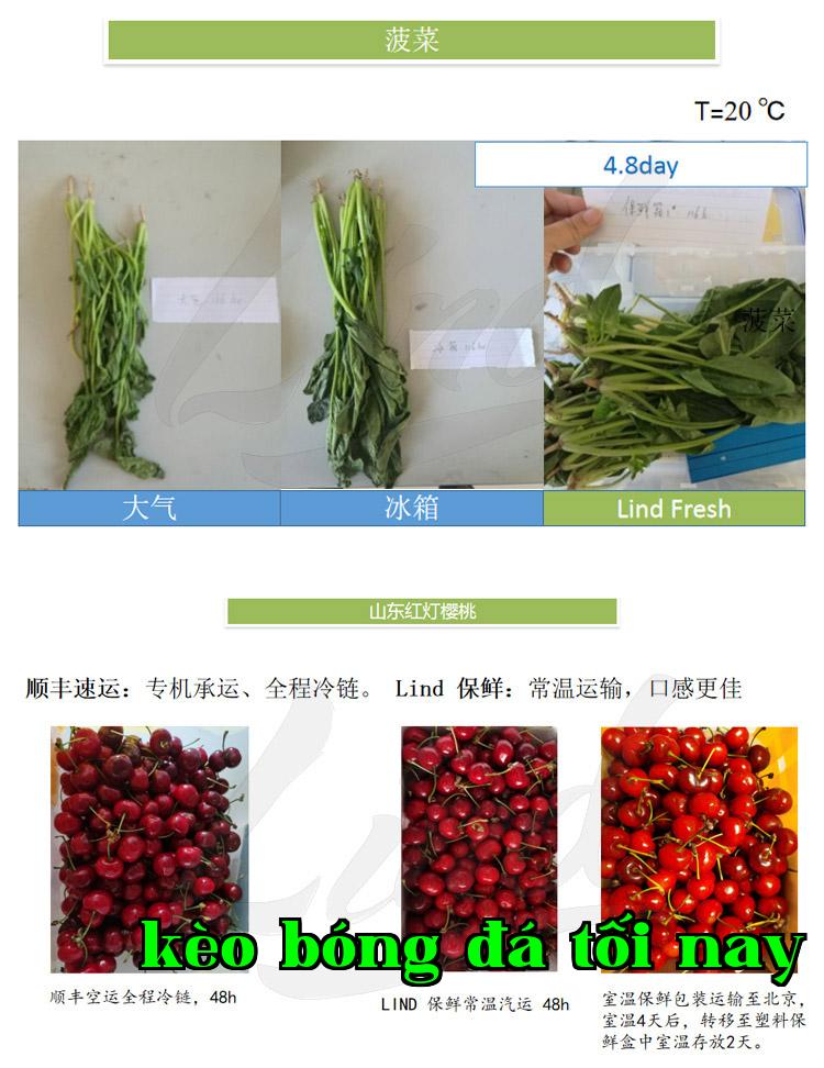 Chi tiết công nghệ đóng gói bảo quản rau quả tươi tự động của màng Linded thay thế bằng _03.jpg