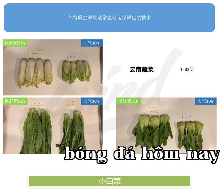 Chi tiết công nghệ đóng gói bảo quản rau quả tươi tự động của màng Linded thay thế bằng _01.jpg