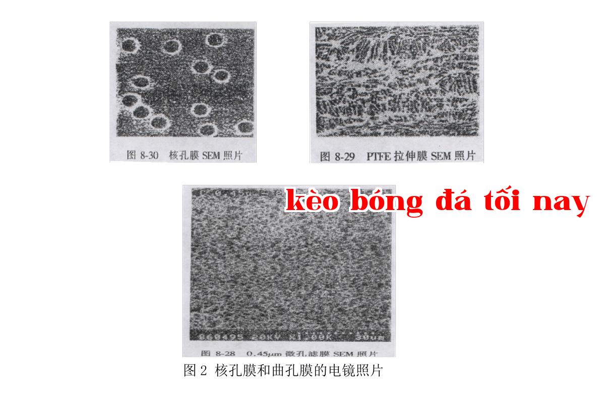 Ảnh_wechat_20250430173512.jpg
