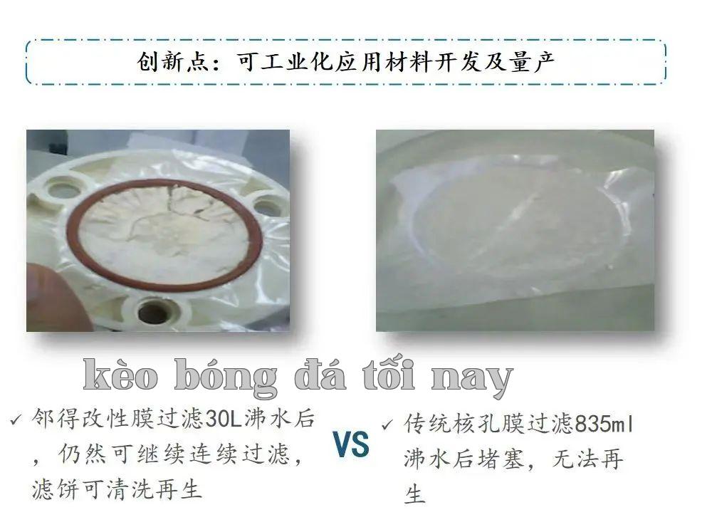 Dựa trên sự sửa đổi độc đáo này, Neidem...