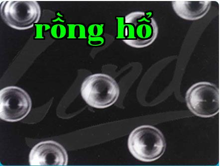 Hệ thống truy xuất nguồn gốc sản phẩm được xây dựng như thế nào?