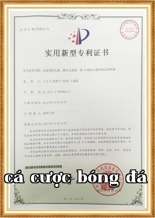 Chứng chỉ danh dự
