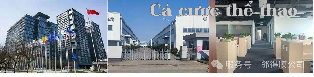 Vương Ngọc Lan - Màng lỗ nhân tạo