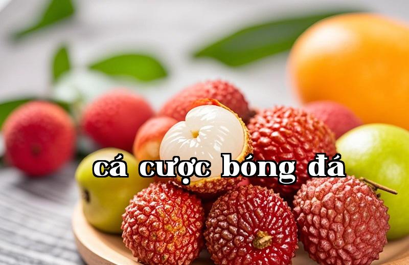 Từ một đoàn hồng trần phu nhân nở nụ cười đến màng lỗ nhân: Biến của công nghệ bảo quản logistics từ cổ chí kim