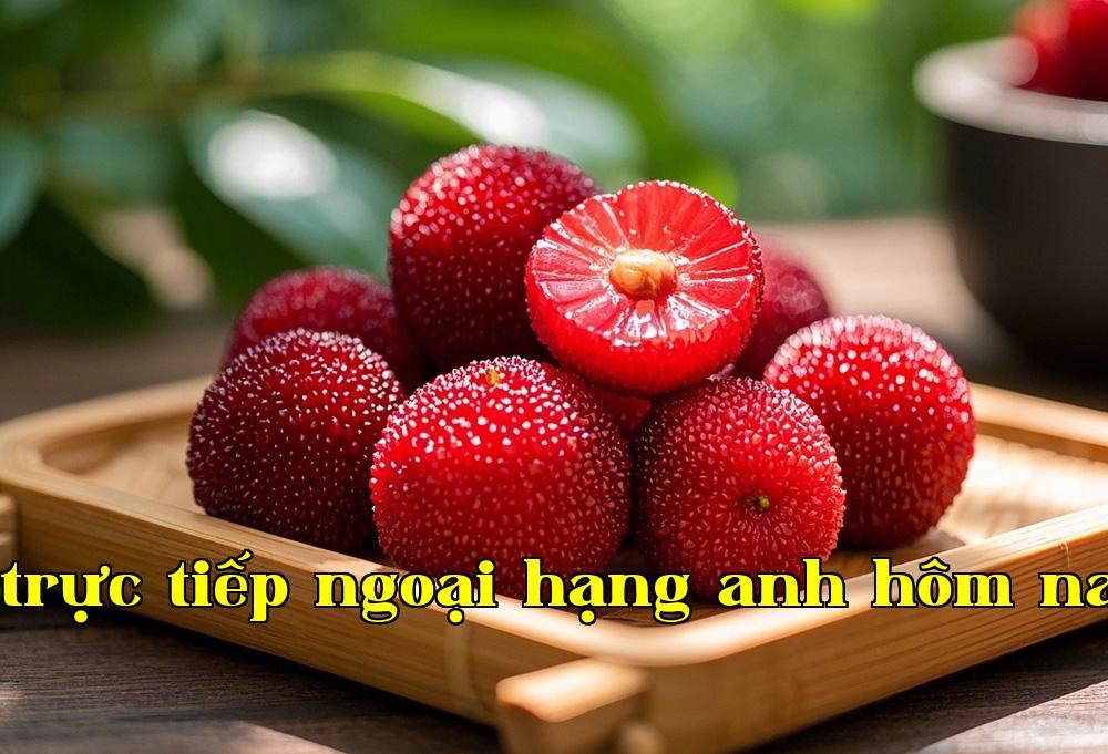 Màng lỗ nhân tạo