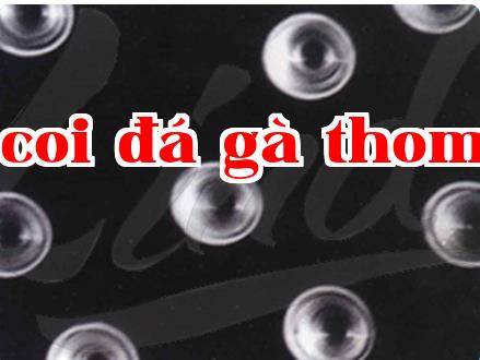Màng lỗ hạt nhân: Đặc tính và ứng dụng