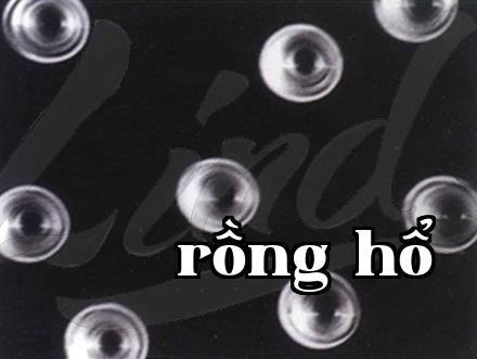 Tập trung vào ứng dụng đổi mới của màng, 