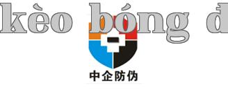 Anti-counterfeit của Doanh nghiệp Trung Quốc