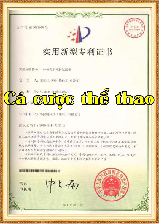 Chứng chỉ danh dự