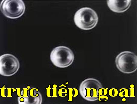 1638856454108098.jpg