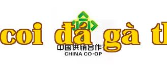 Hợp tác xã cung ứng Trung Quốc