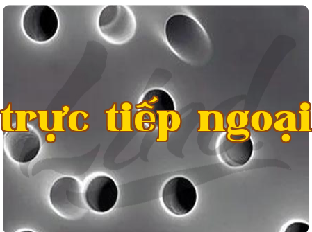 Yêu cầu đối với nhãn dán chống giả